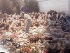 1977 Elvis Presley Funeral Photo Vintage Original 3 5 X 5