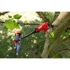 Craftsman V20  Cordless Pole Pruner  tool Only  - Cmcppr320b