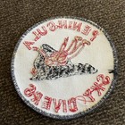 Vtg Peninsula Sky Divers Sew On Skydiving Patch