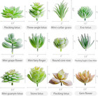 12 Pcs Mini Faux Succulents For Craft And Floral Decor In Assorted Styles