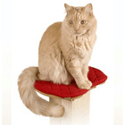 The Ultimate Post Perch With Pad