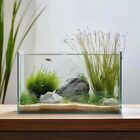 Frameless 3 Gallon Glass Fish Tank Easy Maintenance Betta Goldfish Snail Shrimp