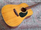 Alvarez Model 5048 Vintage 1970s Acoustic Guitar Made In Japan