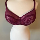 Torrid Women s Xo Burgundy Plunge Push-up High Apex Bra Plus Size 42dd