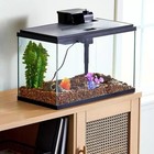10-gallon Glass Aquarium Starter Kit
