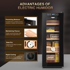 35l Electric Humidor 250 Count Cigar Humidor Cabinet Cooling Temperature Control