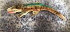 Vtg 14  Steiff Gaty Alligator Crocodile Mohair Plush Stuffed Rotating Back Legs 