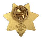 Illinois Department Of Corrections Star Lapel Pin  Gold