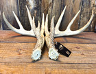 Super Nice Kansas Wild Whitetail Antlers Set