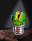 Little Shop Of Horrors Audrey Ll Prop Plastic Shelf Decor Audrey Ii Plant 6   