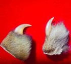 Tiger Claws