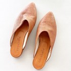 Cocobelle Pointed Toe Leather Mules In Brown Size 38 7