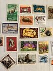Lions Tigers    Bears Stamp Fun Pack    Random Lot Of 25 Wild Life Stamps