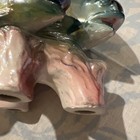 Vintage Mid-century Lusterware Fish Decorative Ceramic Decor Japan