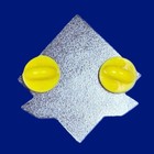 Hazardous Materials Awareness Pin   1   Silver-nickel Pltd   992