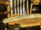 Scrimshaw Walrus Tusk Charles W Morgan  Copy Souvenir Resin The Whaler Prince