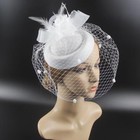 Women Fascinator Hat Pillbox Hat With Veil Wedding Party Headpiece Retro 20s 50s