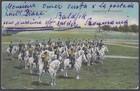 Turkey 1910 Post Card Of The Sultans Cavalry On All White Arabian Horses Neat