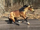 Breyer Web Sr Classic Slyder Glossy Appaloosa Hollywood Dun It Mold