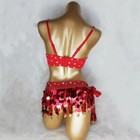 Sequin Beaded Samba Belly Dance Costume Carnival Outfit  bra Belt  Red Turquoise