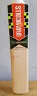 Gray Nicolls Velocity Xp1 500 Light 5 Cricket Bat