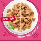 Purina Friskies Surfin    Turfin  Variety Pack  Wet Cat Food  5 5 Oz 80 Cans