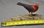 Vintage Hand Carved Painted Red And Black Bird On Driftwood Base Unknown