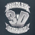 Vintage 2000 Wwf Dudley Boyz 3d Death Drop Shirt Xl Dem Damn Dudleys Wwe Promo