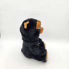 Feisty Pets Rare Derby Black Bear-progressive Insurance Plush