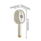 Electric Spray Air Cushion Massage Comb self-cleaning Anti Tangle Electric Brush