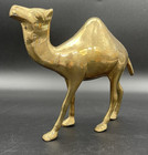 Vtg Solid Brass Dromedary Camel Figurine 6 5  X 5 5    Large Heavy Euc