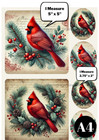Cardinal Folly  853   A4 Rice Paper   Paper For Decoupage   Decoupage Creatives
