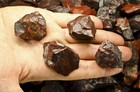 1 4 Lb Brecciated Jasper Rough Stones - Natural Crystal Mineral Rock Tumbling