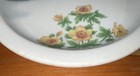1951 Great Northern Railway Salad Plate Mountains   Flowers Syracuse China 7 25   