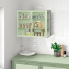 Modern Wall Cabinet With Glass Door Metal Storage Cabinet W  Detachable Shelves