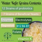 Live Water Kefir Grains Kit W  Activator Booster Spirit Of The Forest Kefir