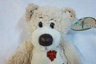 First   Main Tender Teddy 13  Plush Soft Toy Stuffed Animal