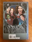 Angel  The End Hc  idw Publishing  2011  - Buffy The Vampire Slayer  Unread