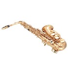 Glarry Professional Golden Alto Saxophone E-flat Sax With Case