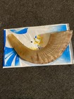 Holy Voice Kosher Ram Shofar Horn From Israel 12 -14  12-14  Natural 