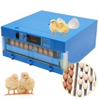 2-in-1 Auto Egg Incubator 48 Eggs Dual-power Digital Poultry Hatcher Machine