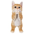 Cat Decor Orange Tabby Garden Statue Garden Decoration Home Decor Gift Option