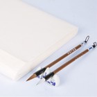 11pcs Chinese Calligraphy Set  Sumi Brush For Beginners With 20pcs Paper  Chi   