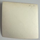 Old Vintage Photo Woman Posing In Yard In The 70 s