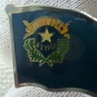 Battle Born Nevada Flag Collectible Hat Lapel Pin 