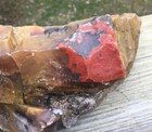 Museum Size Rough Red Jasper   Agate Display Specimen  Perfect For Lapidary 