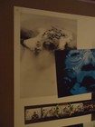 The Beatles - White Album - Poster