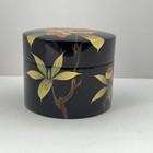 Rare Japanese Tea Ceremony Tea Caddy Natsume Chaki Lacquerware W lid  Big Size
