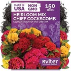  150 Chief Mix Cockscomb Seeds  celosia Argentea      Celosia Mix Cristata