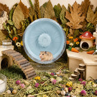 10 Inch Silent Hamster Wheel With Adjustable Stand  Large Size  Blue
